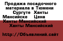 Продажа посадочного материала,в Тюмени, Сургуте, Ханты-Мансийске. › Цена ­ 120 - Ханты-Мансийский  »    . Ханты-Мансийский